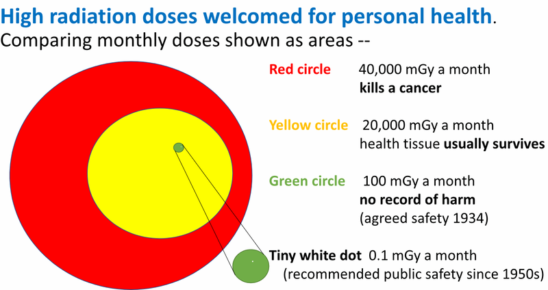 A diagram entitled 'High radiation doses welcomed for personal health', comparing radiation doses of 40,000 mGy to kill a cancer, 20,000 mGy per month at which irradiated healthy tissue survives, 100 mGy per month with no record of harm, and a tiny white dot showing 0.1 mGy per month, which has been the recommended public safety limit since the 1950s.